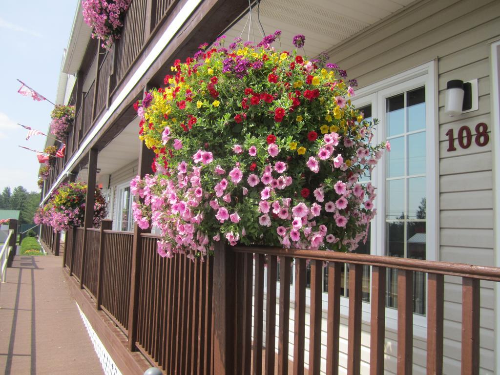 Bishops Country Inn Motel Jackman Extérieur photo